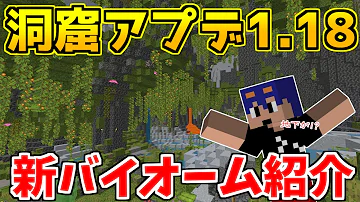 マイクラ最新