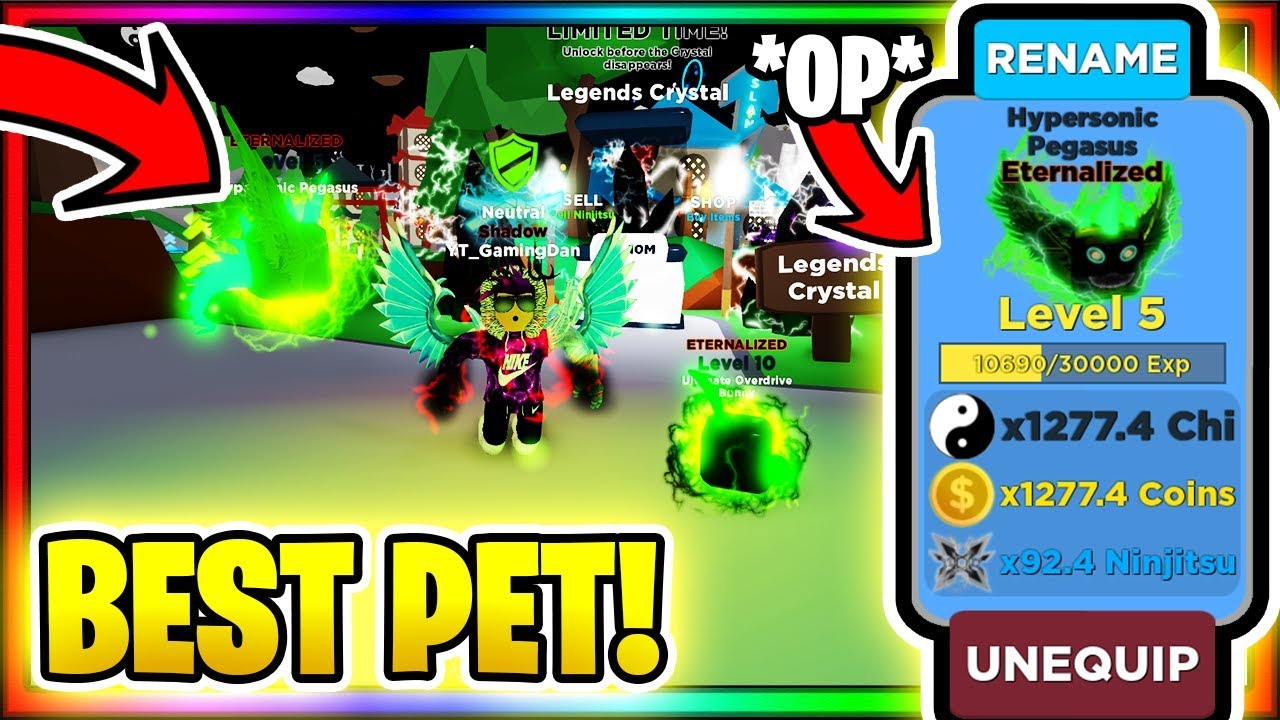 I Got The New Best Rarest Pet In Ninja Legends Op Roblox Youtube - trade you the current best pets in roblox ninja legends by crystallcx