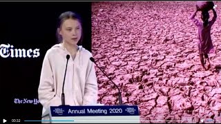 Thunberg vs Trump: A 'trillion trees' are not enough