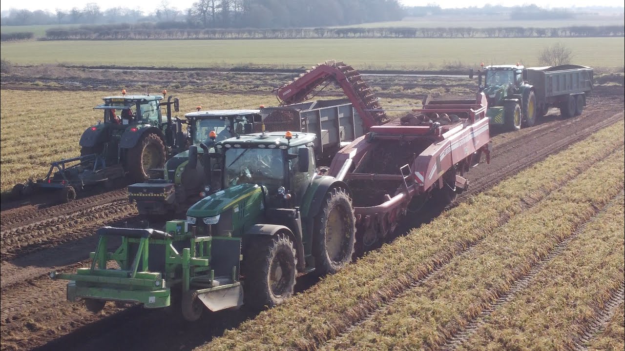 Carrot Harvesting 2023!