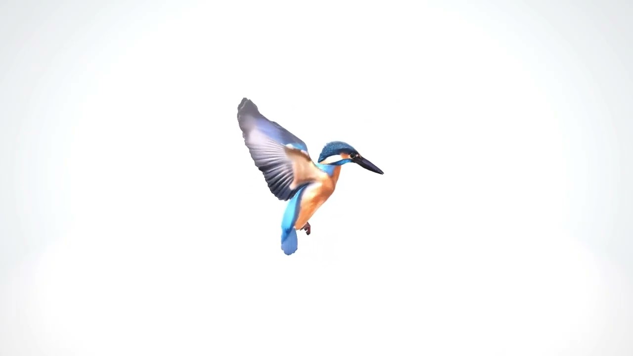 4103#カワセミ写真101031_IMG_2535_3D#Kingfisher#Hunyuan2.5#20260720