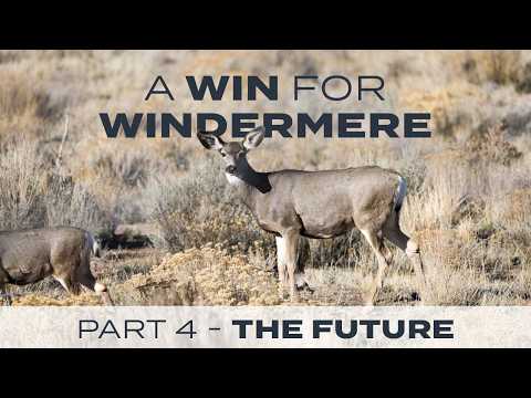 A Win for Windermere: Part 4 - The Future