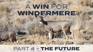 A Win for Windermere: Part 4 - The Future