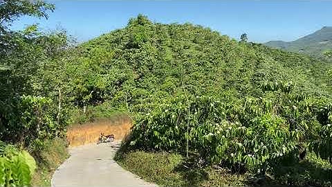 16.000m2 đất có thổ cư xã Đại Lào, TP Bảo Lộc | Đất triền đồi, có 400m2 thổ cư, view TP Bảo Lộc