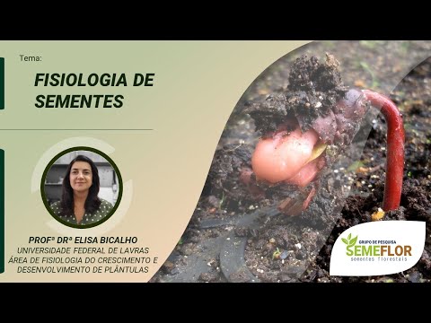 Vídeo: Ecofisiologia Da Dormência E Germinação De Sementes Em Quatro Espécies De Lonicera (Caprifoliaceae) Nativas Da Coréia