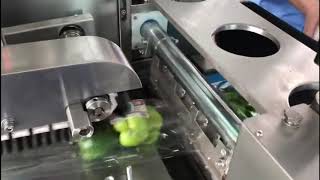 FW/451 Flow Wrapper - ABI System