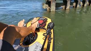 3 pound Sheepshead. Kayak fishing Lesner Bridge in Virginia Beach