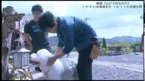 『ぶどうのなみだ』特別映像 30秒予告