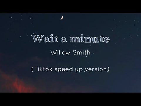 Wait A Minute Willow Smith Tiktok Speed Up Version Lyrics 