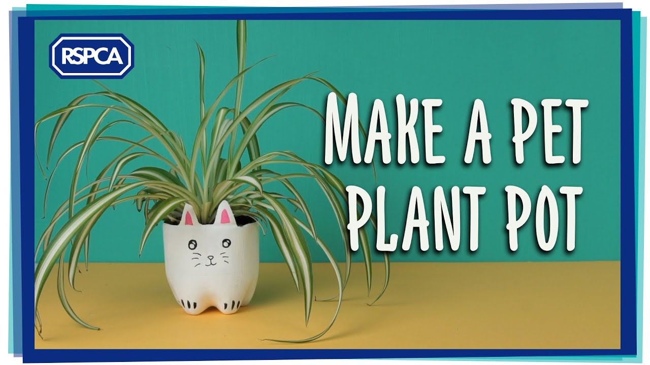 cruelty free kiko Make a Pet Plant Pot for Mother's Day & Poisonous Plant Advice
