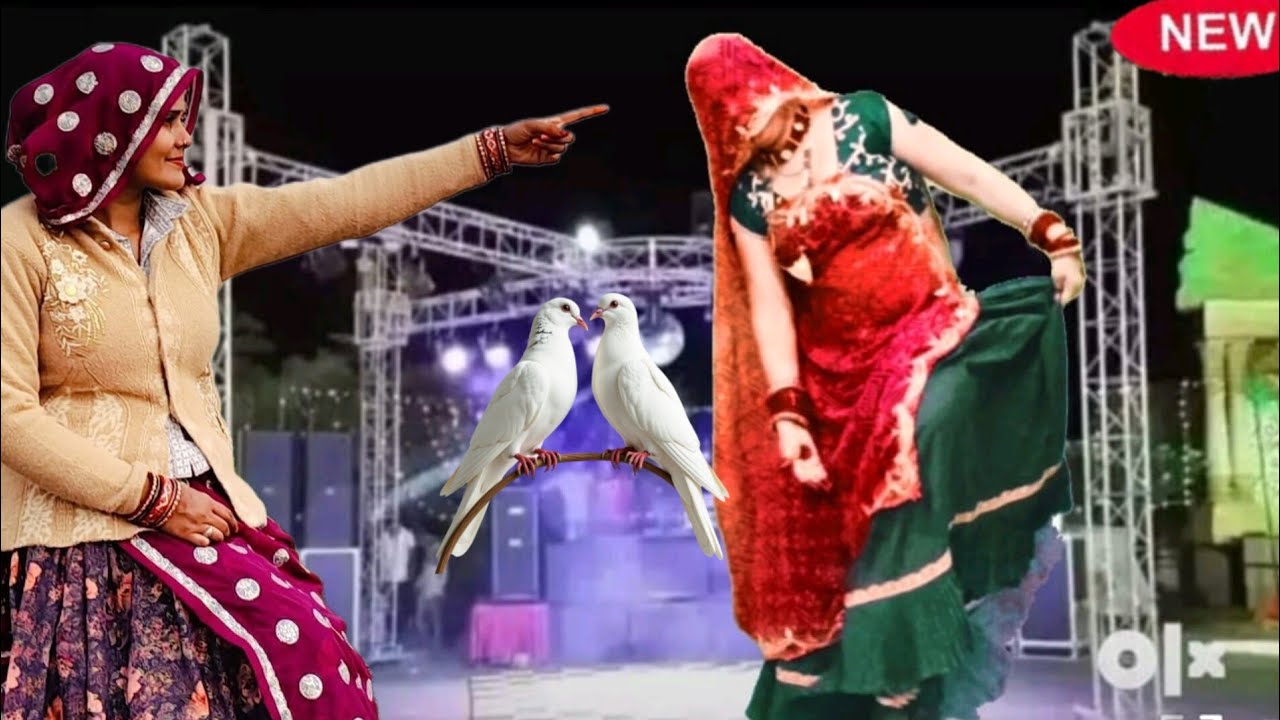 जीजो कुण न देखर शर्मा व को नाचे पकड़र हाथ#न्यू मीणावाटी वायरल सोंग#रामप्रसाद # सब्सक्राइब #डांस..