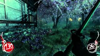 Shadow Warrior Part 3 (Insane Difficulty Story mode)