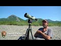 American Peregrine Falcons and their Migration in Yukon Charley Rivers National Preserve