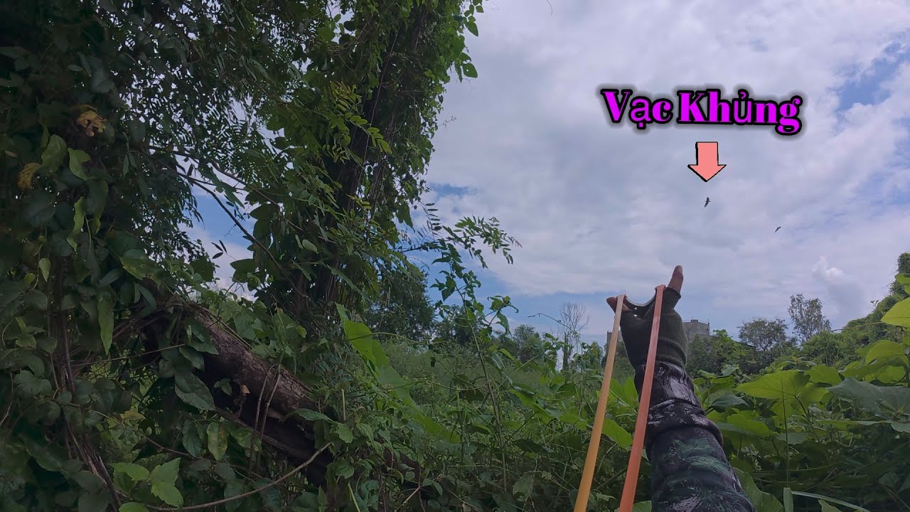 MÉT 72 - SĂN VẠC KHỦNG XONG RA ĐỒNG BẮT CHUỘT ĐỤNG ĐỘ RẮN NƯỚC KHỔNG LỒ ẨM THỰC NGOÀI ĐỒNG