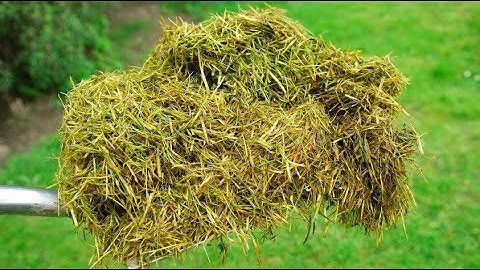 You Will Never Throw Away Grass Clippings After Watching This Video