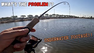 Why Do I Keep Losing Fish on Dropshot at Santa Ana River Lakes?  (Including Underwater Footage)