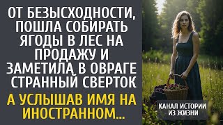 видео: От безысходности, пошла собирать ягоды в лес чтобы продавать на трассе… А услышав имя на иностранном картинка: От безысходности, пошла собирать ягоды в лес чтобы продавать на трассе… А услышав имя на иностранном