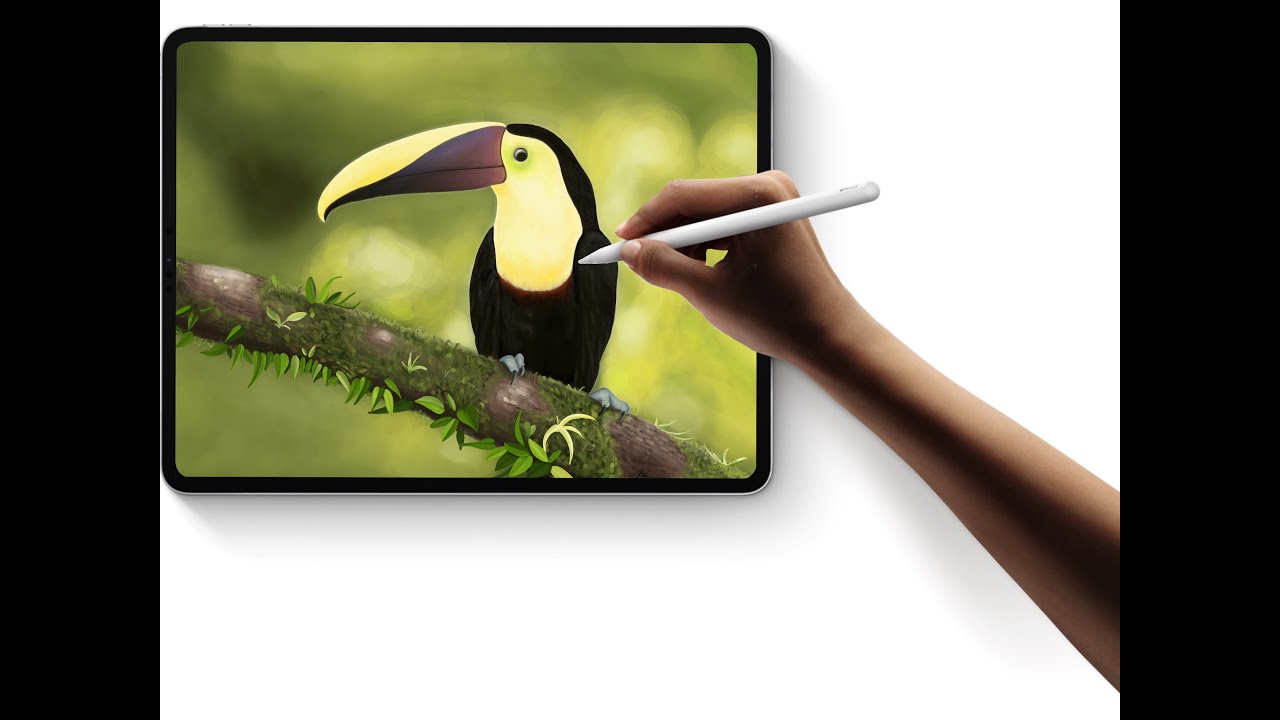 Toucan Digital Art | Procreate Painting | iPad Pro M1 12.9 - YouTube