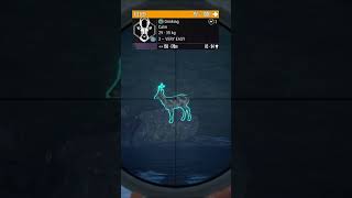 I Smoked Diamond Piebald Roe Deer On Scotland!┃#cotw #superrare #roedeer