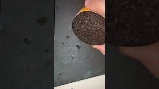 OUTLAW Dip review 2022, 6 cans all bad