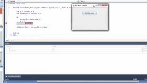 Do Loop While in Visual Basic