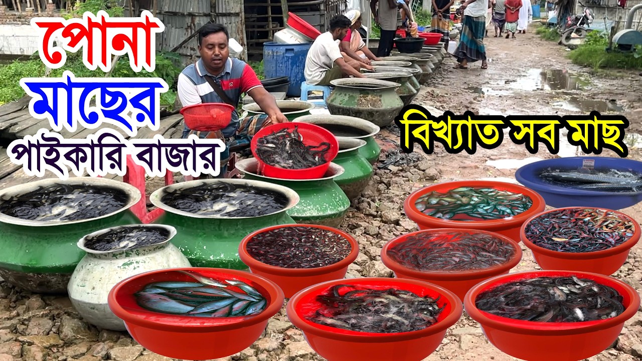 চাষিদের লাভজনক মাছ- বছরে তিন থেকে চার কেজি ওজন হয় মাছের | মাছের পোনার দাম এবং কোথায় পাওয়া যায়?