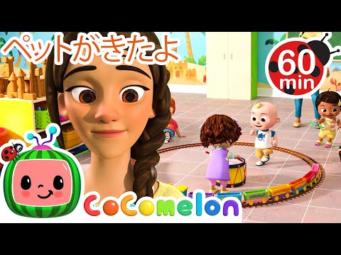クラスのともだち ジェリービーン 🐹🐹| ココメロン 日本語 - 幼児向け