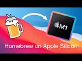 Install Homebrew Natively on an Apple Silicon M1 Mac
