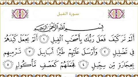 105 Al Fil سورة الفيل