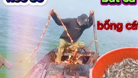 Hồ trị an bắt cá bống cát mùa nước lên