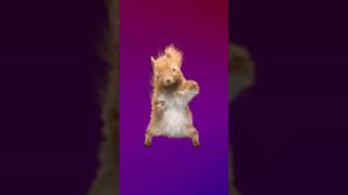 Şişkoyom Ben Şişko