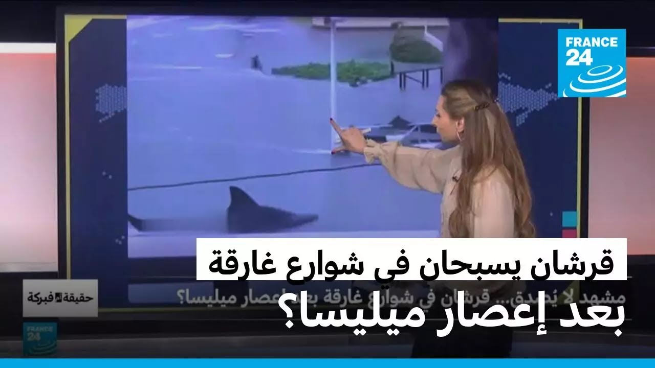   ...       ǿ
 - نشر قبل 17 دقيقة