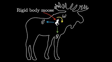 Rigid body moose dropped in a moose contour