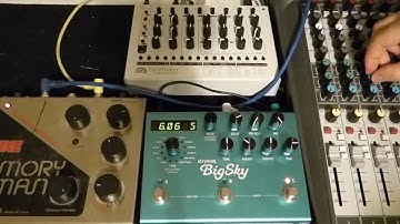 MFB Tanzmaus, EHX Deluxe Memory Man & Strymon Big Sky