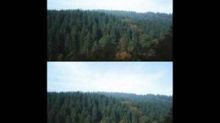 trouve la difference entre ces deux photo !!! screenshot 4