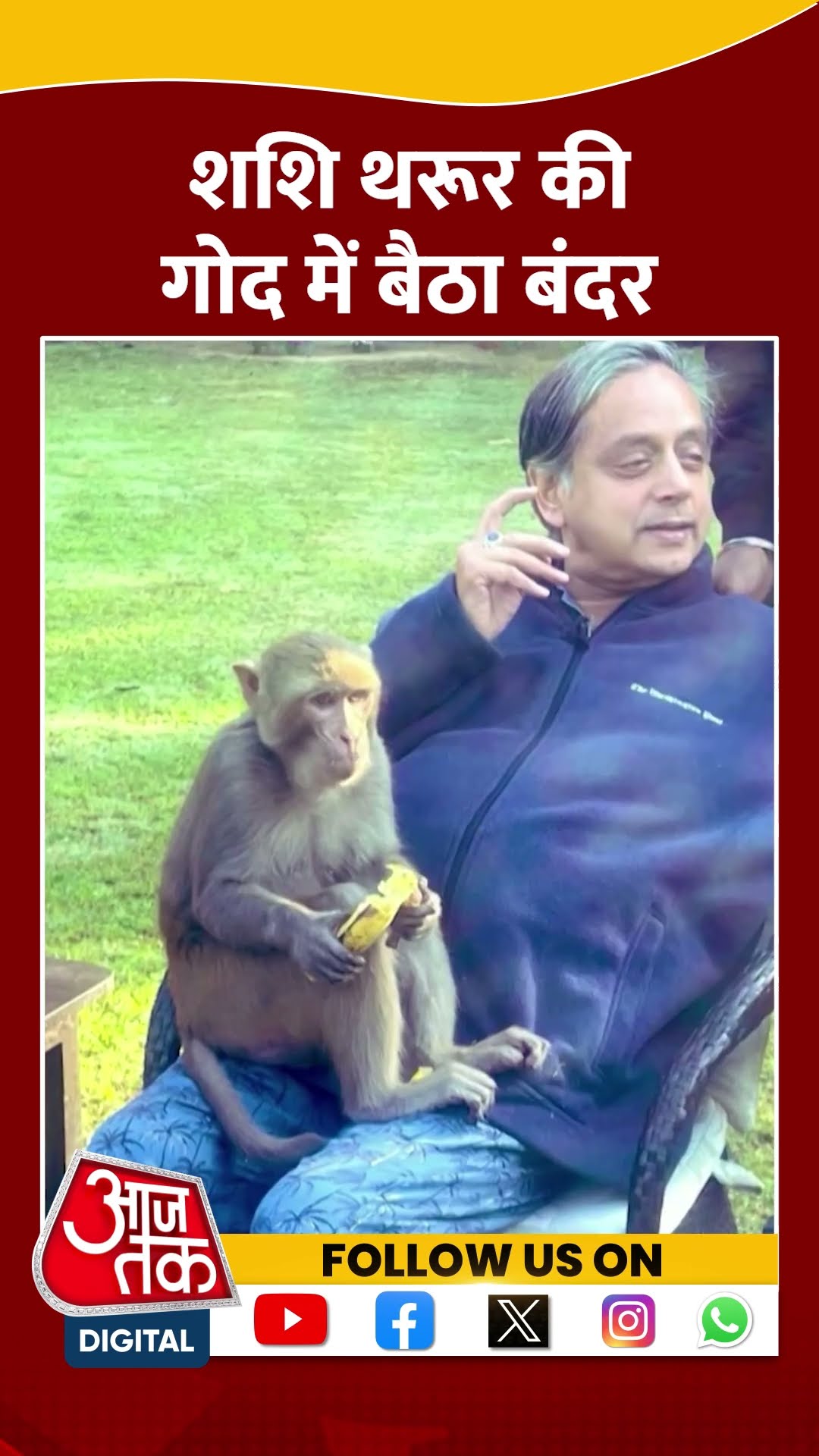 Shashi Tharoor की गोद में बैठा बंदर | #shashitharoor #congress #aajtakshorts