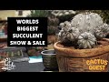 I went to the Intercity Cactus & Succulent show and sale: The worlds rarest plants and best growers.