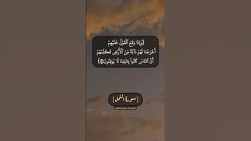 سورة النمل الآية ٨١ و ٨٢ بصوت الشيخ محمد صديق المنشاوي