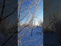 Иней