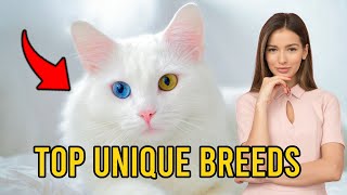 Most UNIQUE Cat Breeds! (You Don't Know Them)