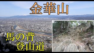 【登山】金華山 馬の背登山道 全行程 [倍速]  Climbing Mt.Kinka in Gifu Japan