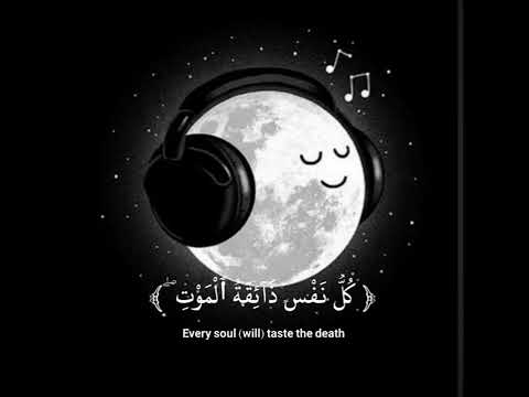 سورة العنكبوت (يا عبادي الذين امنوا ان ارضي واسعة) بصوت القارئ عبد الرحمن مسعد ضع لايك ❤️❤️