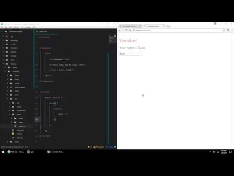 Using the development server