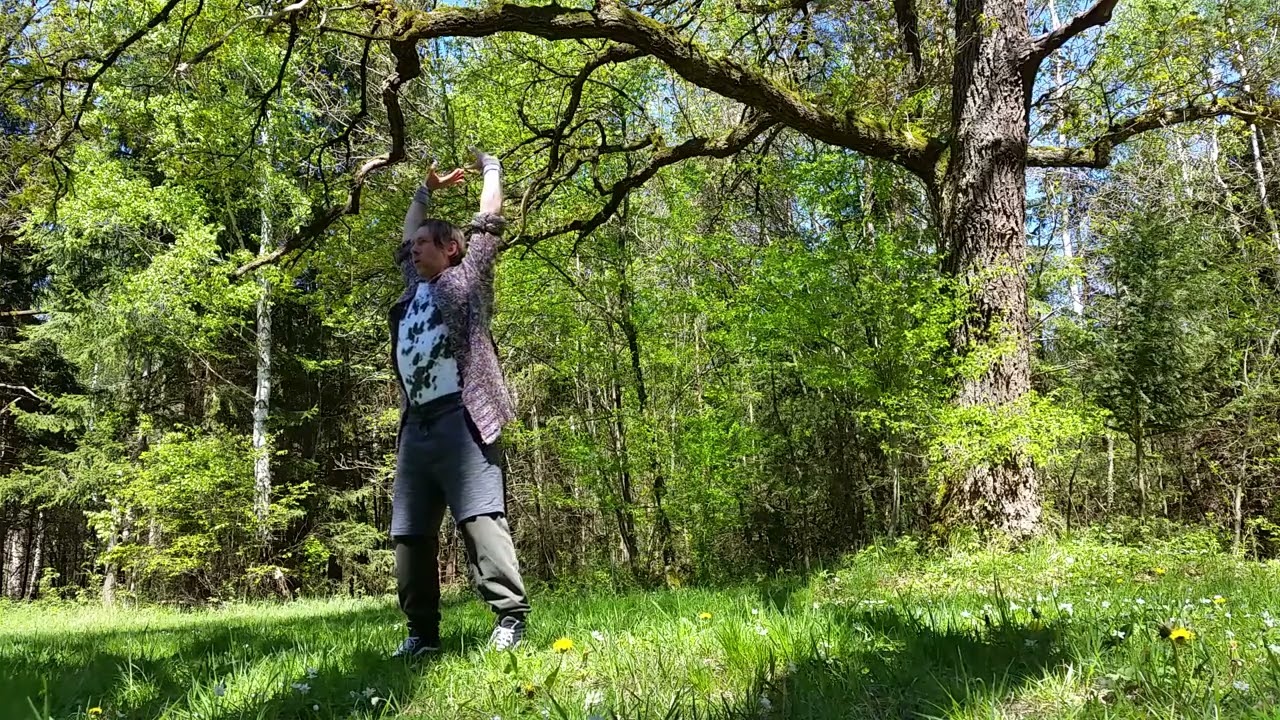 Xi Sui Jing - Shaolin Qi Gong - losttreelightning 2024