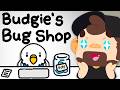 Let's Catch Some Bugs! - NEW Budgie's Bug Shop Game