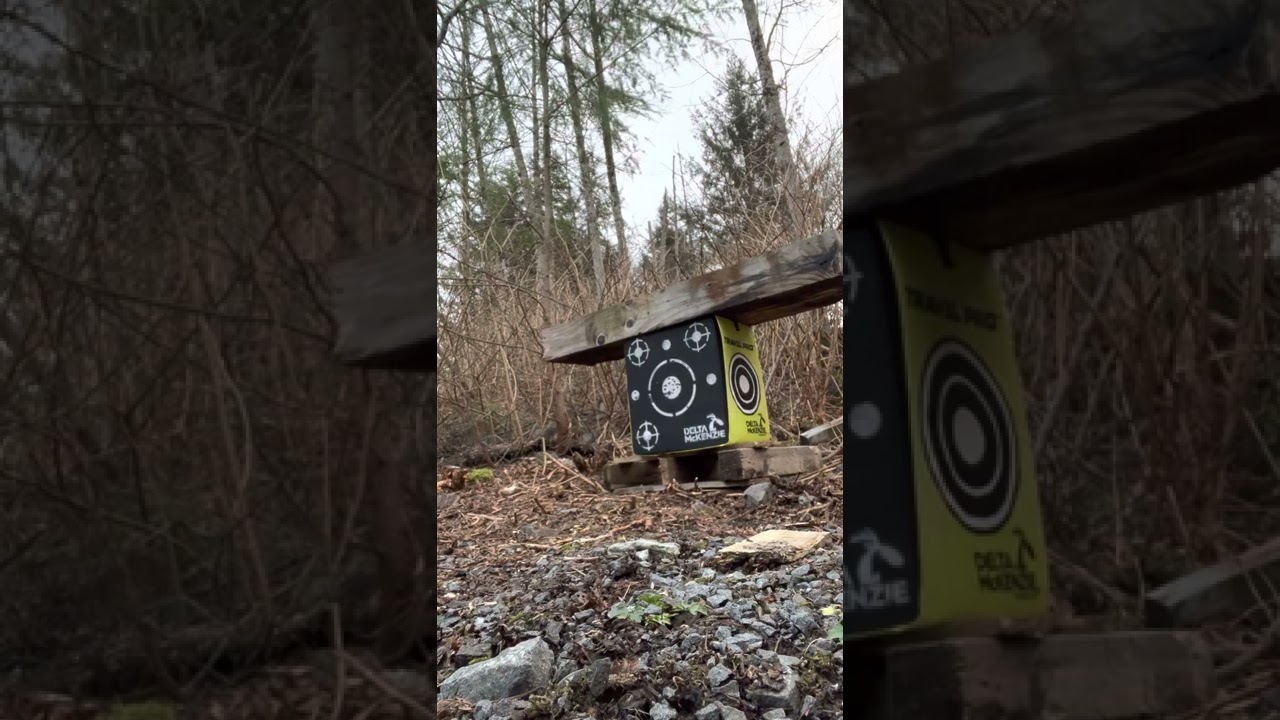 550 grain Easton FMJ 50 yards￼