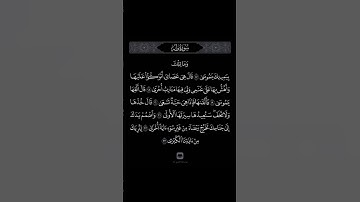 اكتب شئ تؤجر عليه #القرآن_الكريم #قرآن #quran #تلاوة_خاشعة #ياسر_الدوسري