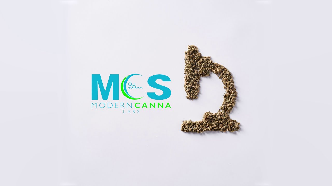 Cannabis Flower - Under the Microscope