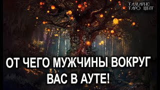 От чего мужчины вокруг вас в Ауте?💯 расклад таро