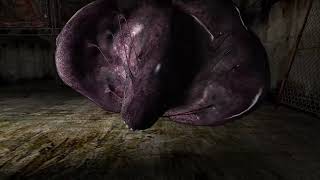 Silent Hill 3 - No Damage, Extreme X - Full Run Raw Footage - PC